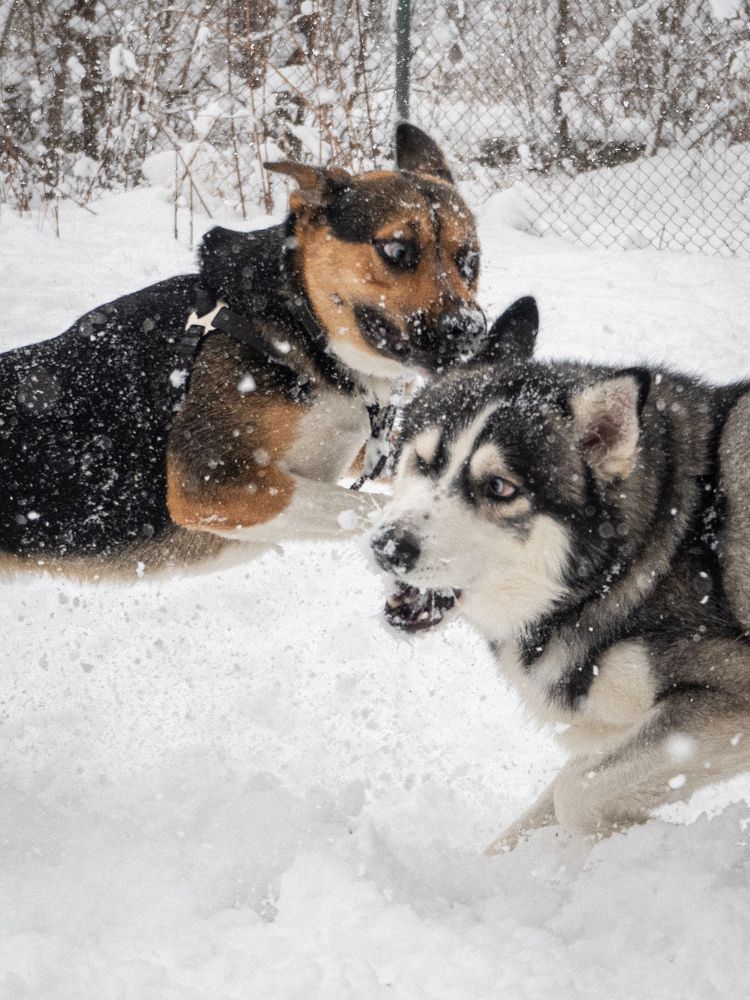 Photograph by Margarita Presidentova