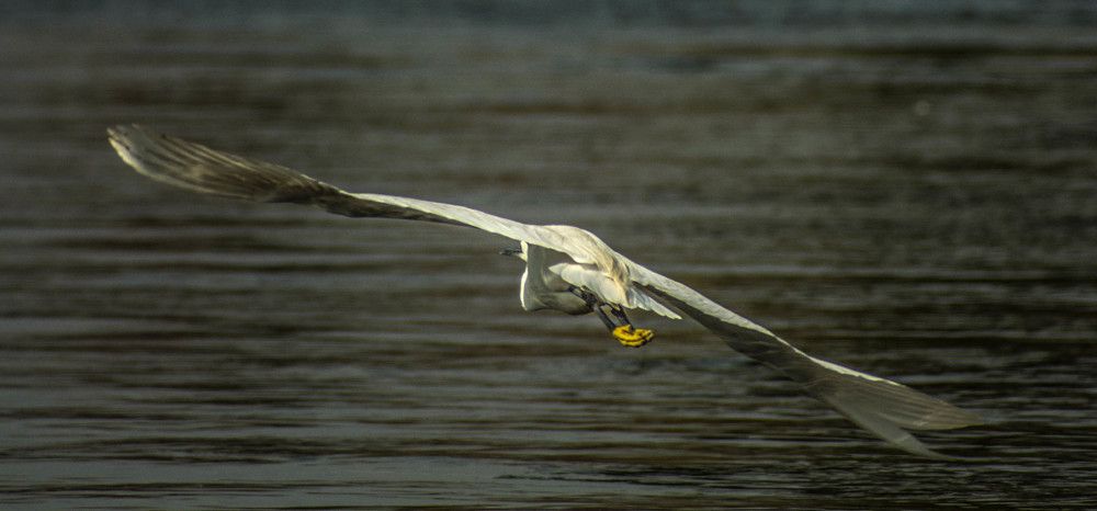 Photograph by Eslam ElsayedEldaramlly