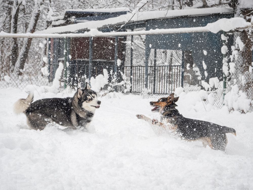 Photograph by Margarita Presidentova