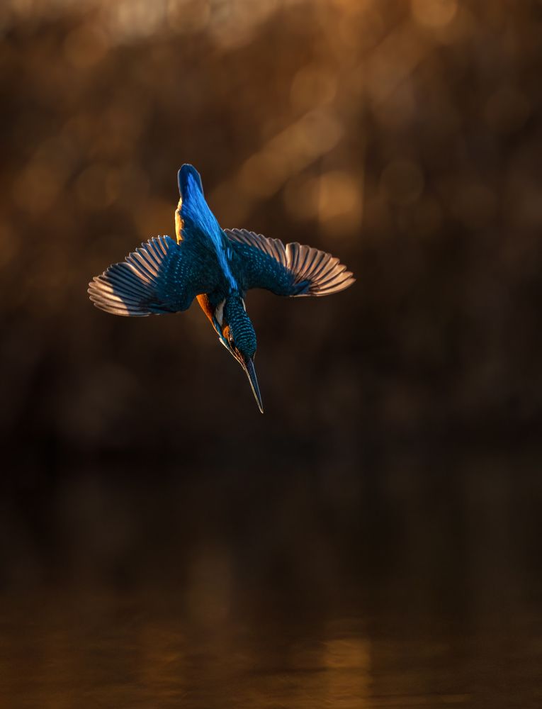 Photograph by Tímea Ambrus