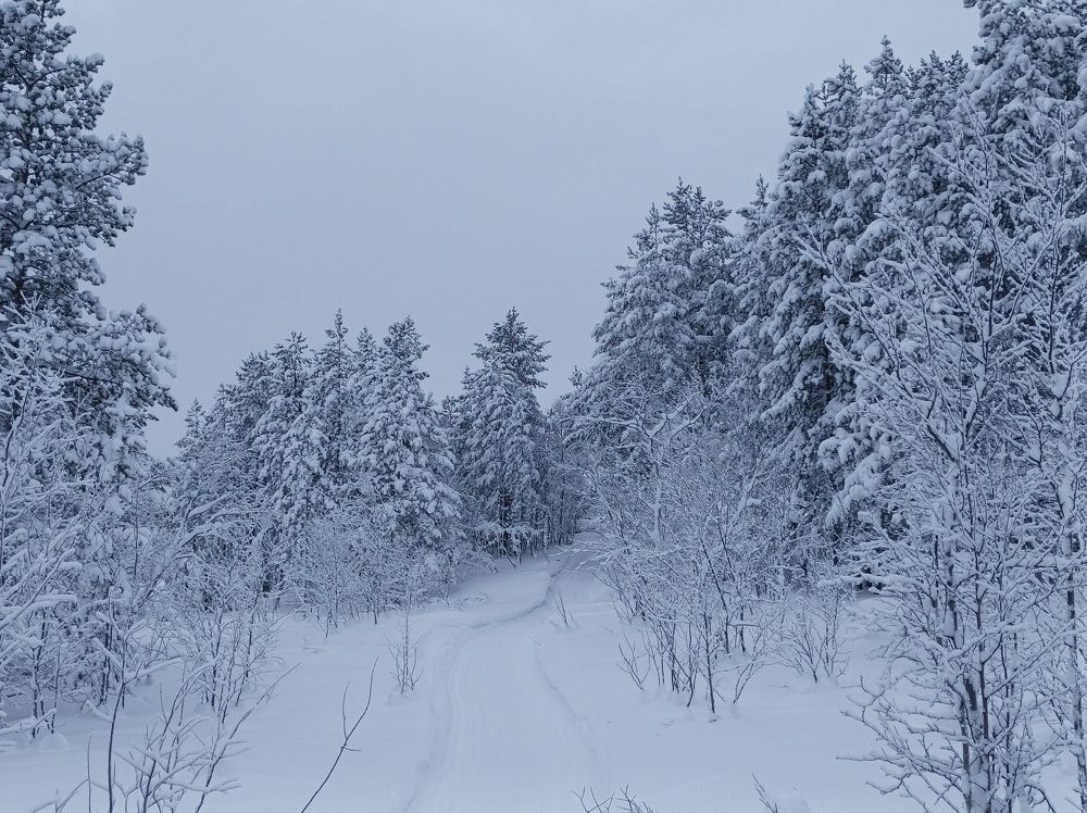 Photograph by Марина Зборацкая