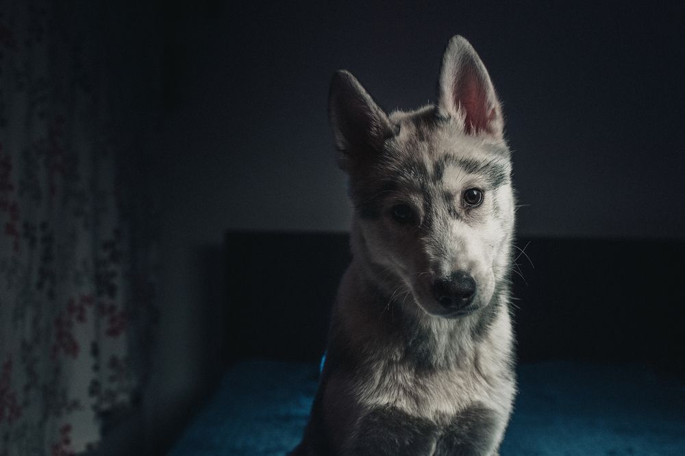 Photograph by Ирина Казанцева