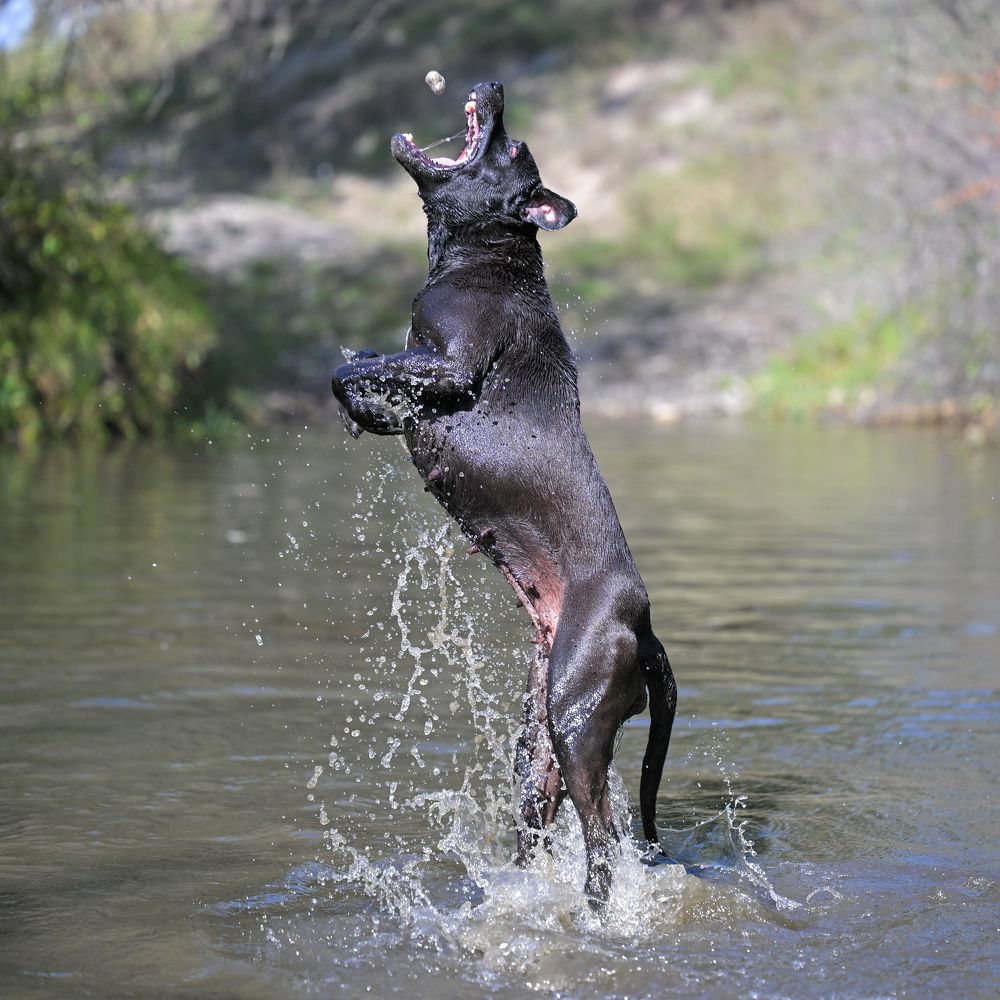 Фотография автора Владимир Пронин