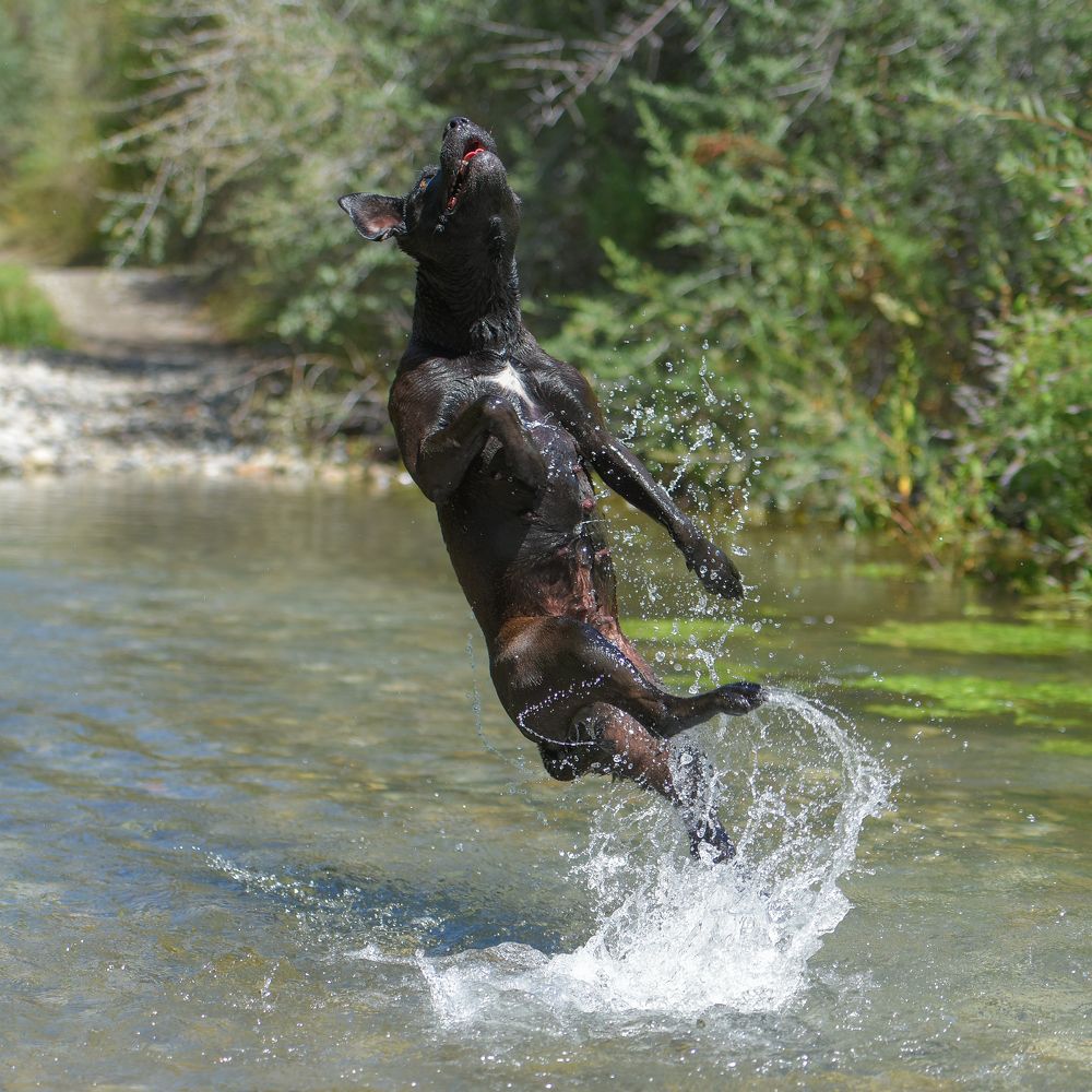 Фотография автора Владимир Пронин