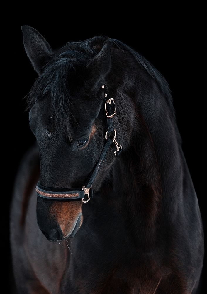 Photograph by Марина