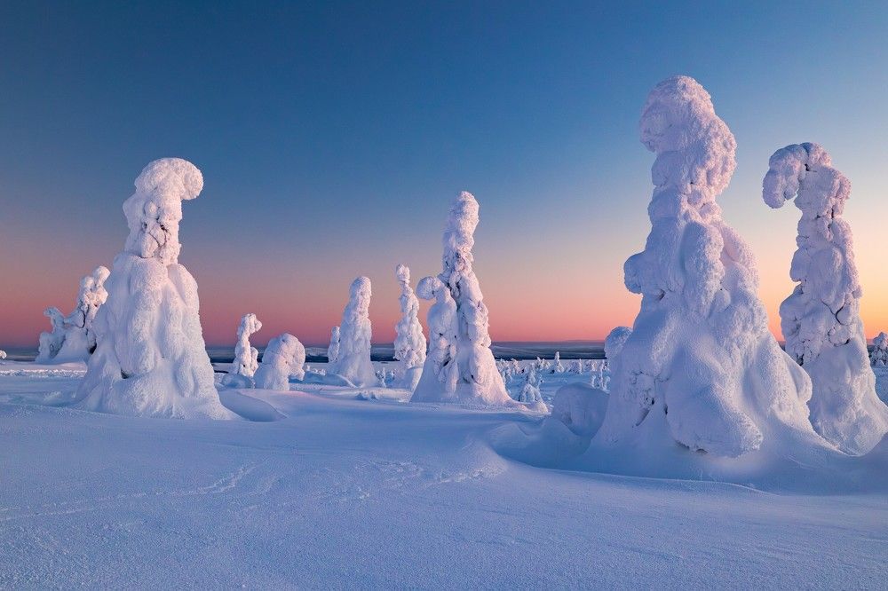 Photograph by Артём Бабенов