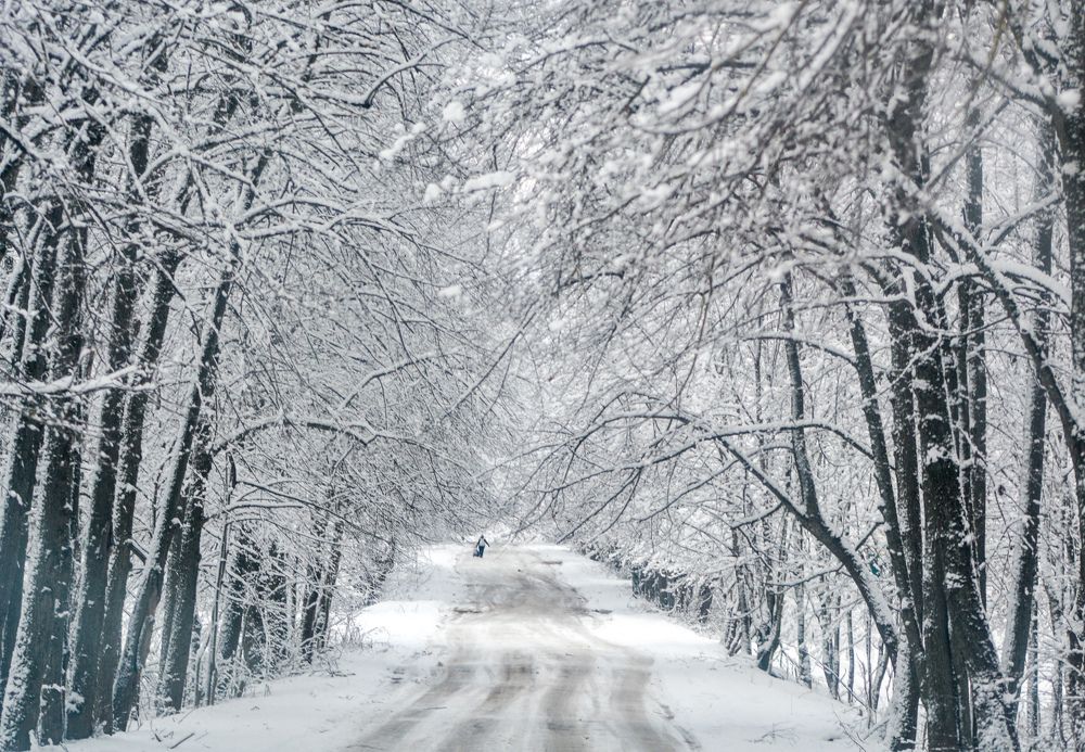 Photograph by Анастасия Гурова