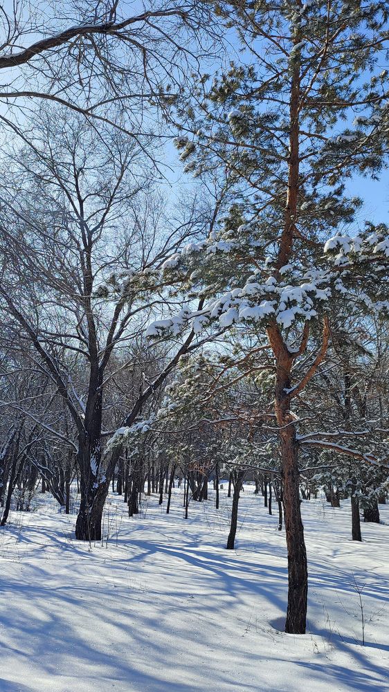 Photograph by Ирина Строкова