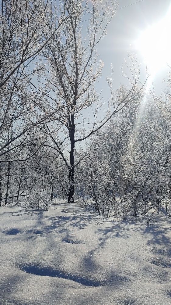 Photograph by Ирина Строкова