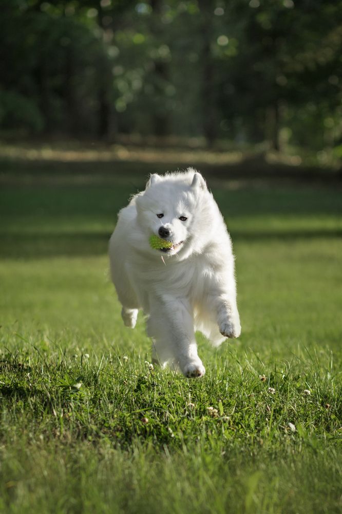 Фотография автора Татьяна Радусь
