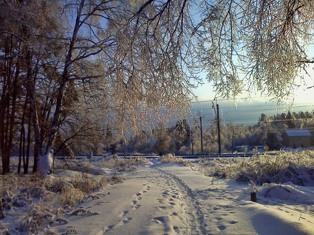 Photograph by Людмила Липаткина