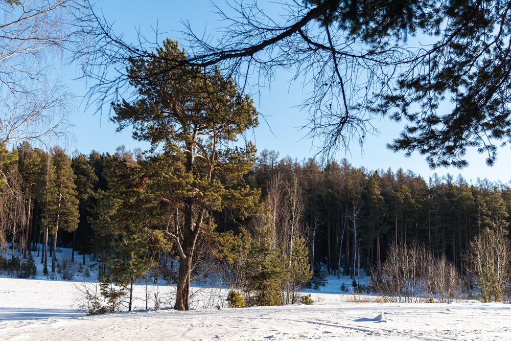 Photograph by Николай Писецкий