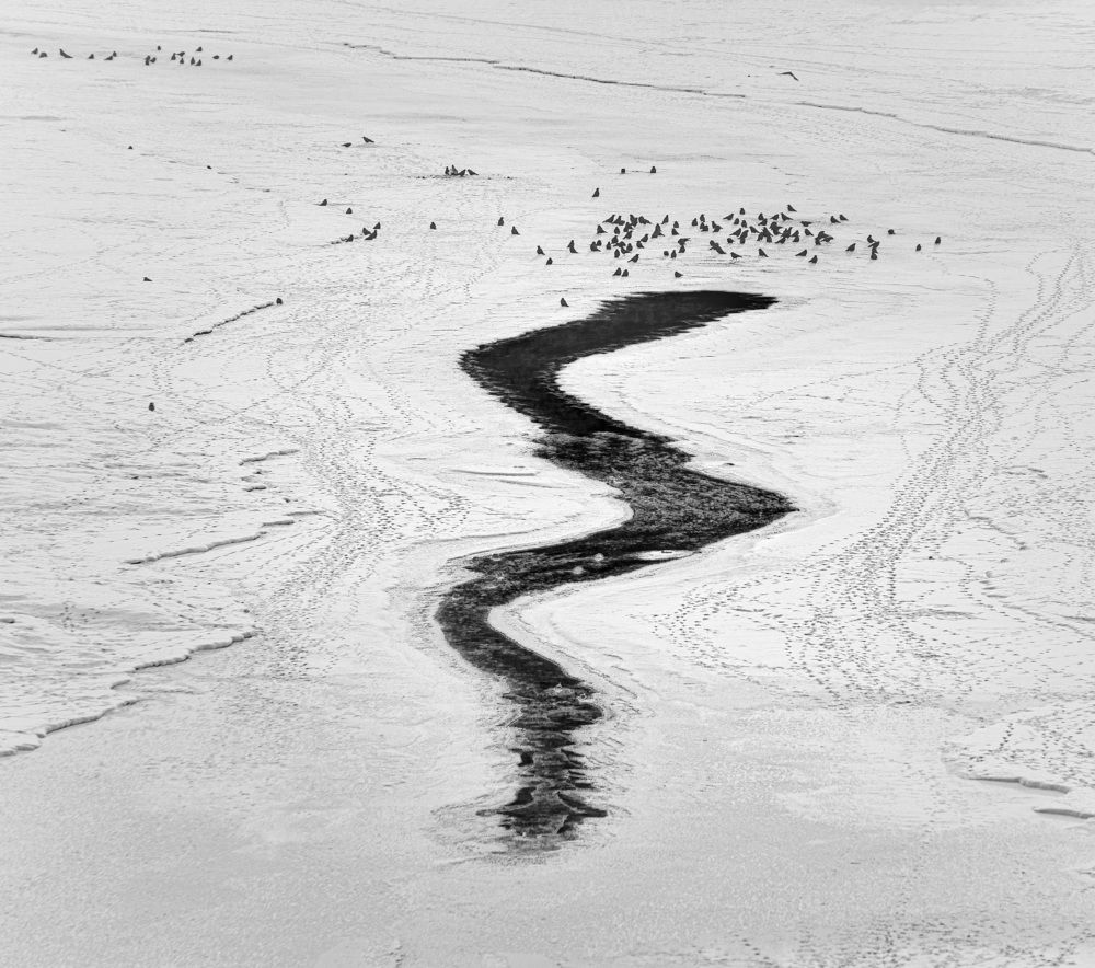 Photograph by Валерий Туманов