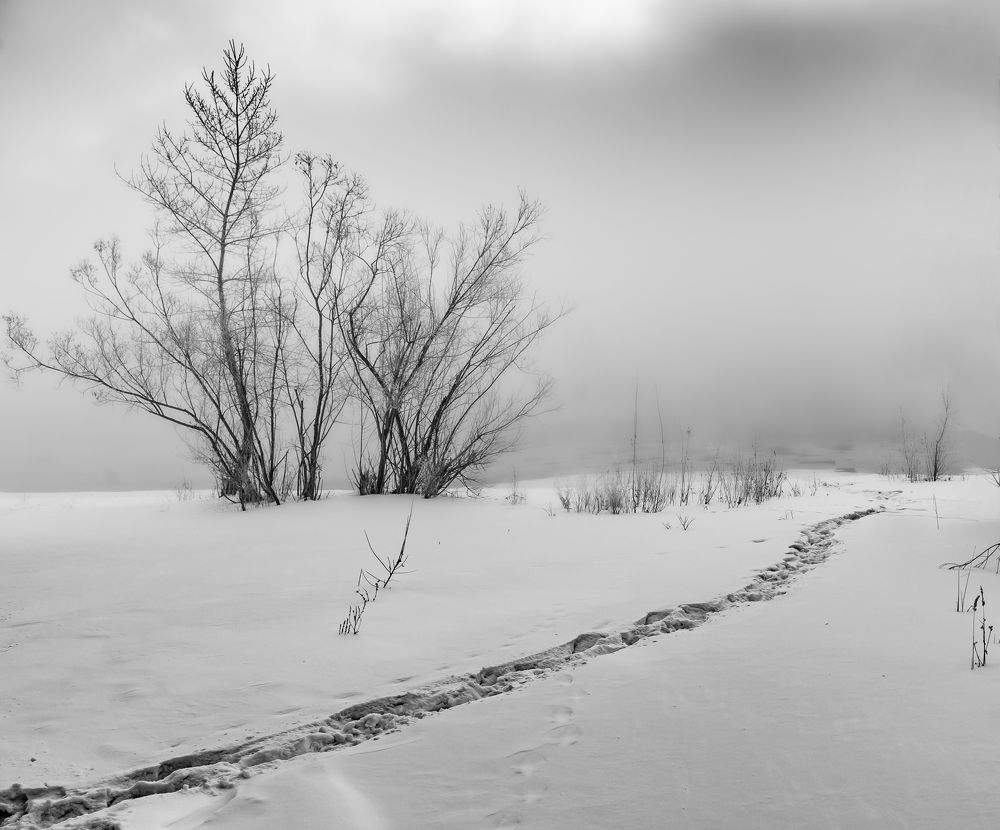 За горизонт.