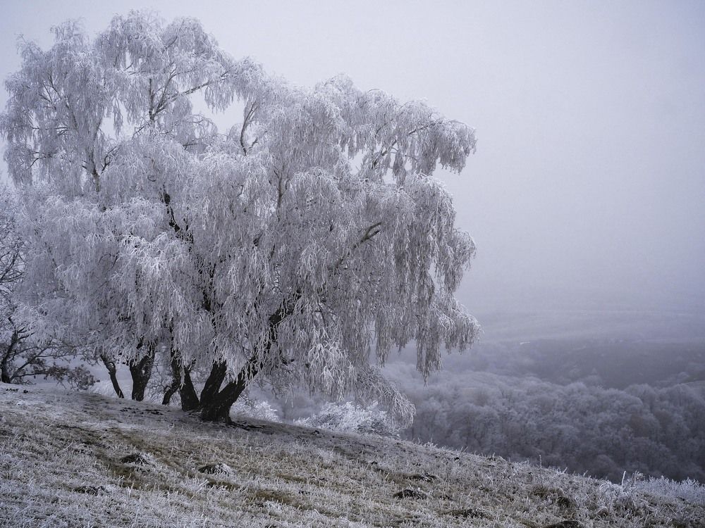 Photograph by Лейла Свекольникова