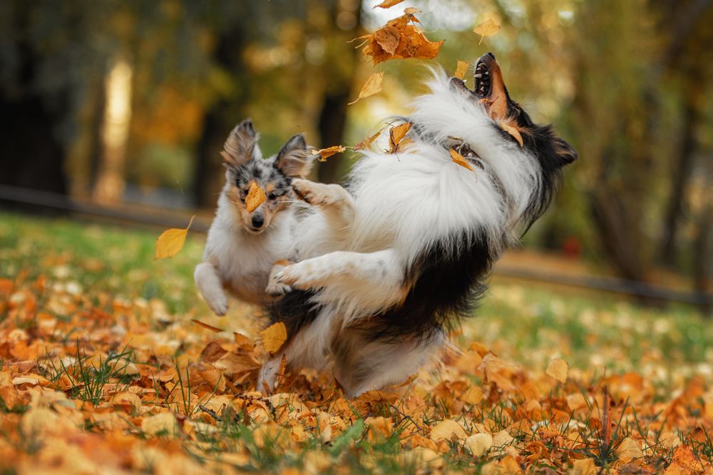 Photograph by Зубкова Юлия