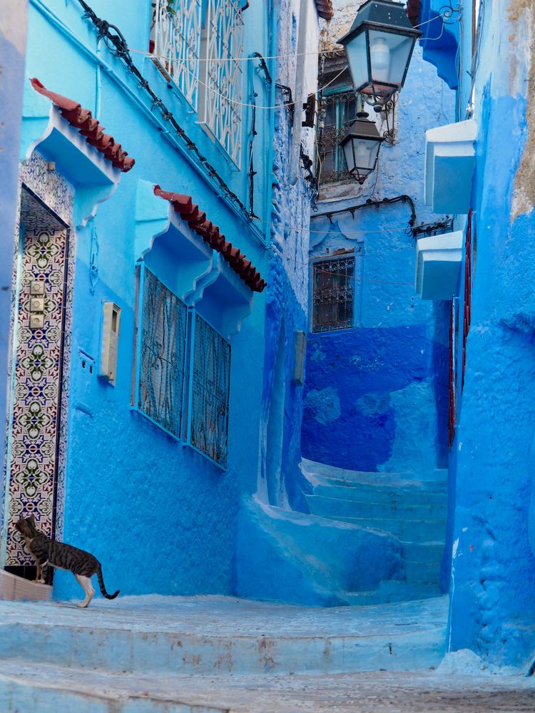 Photograph by Евгения Мягкова