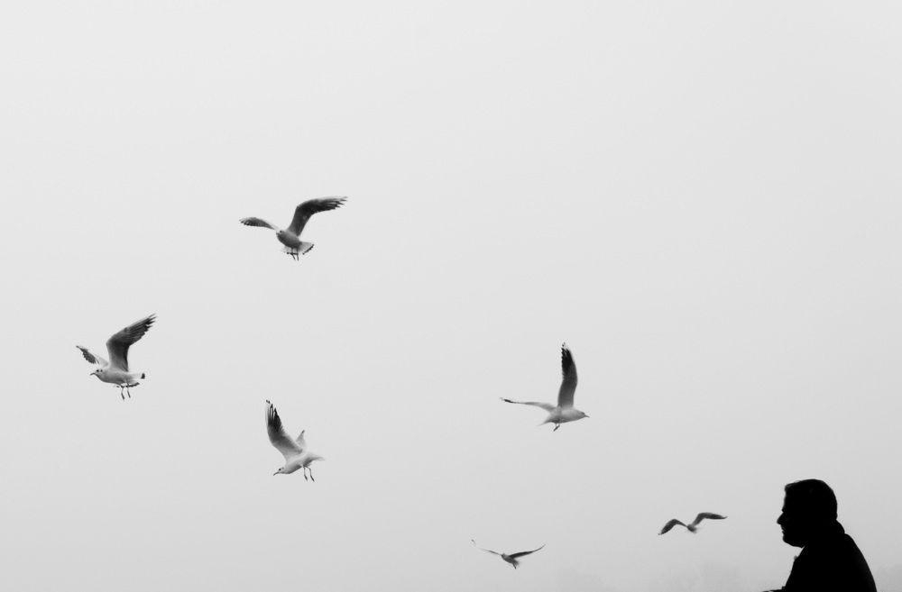 Фотография автора Mosa Baqat