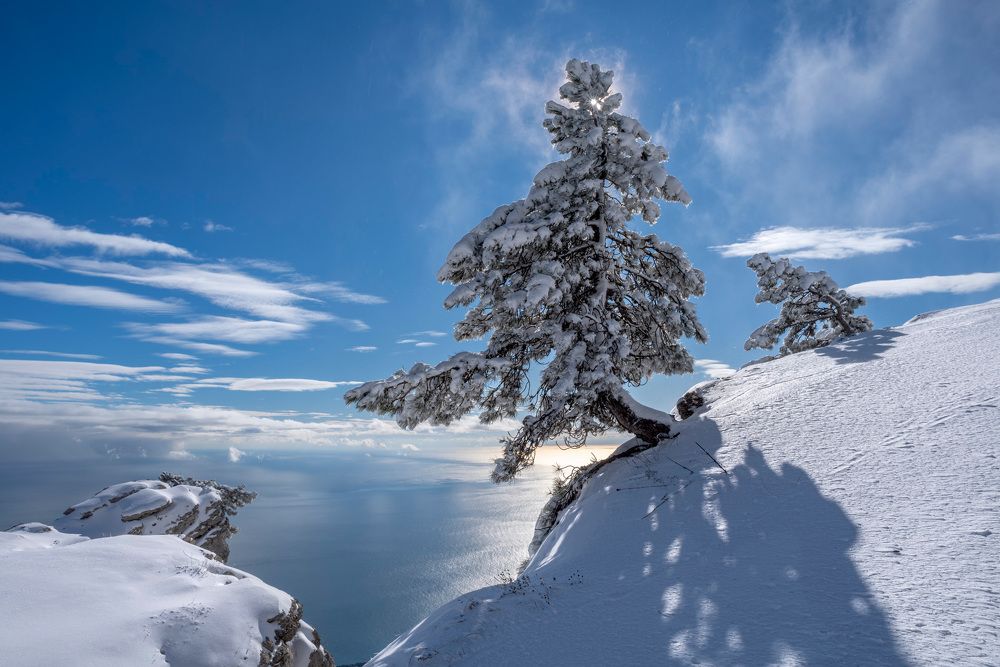 Photograph by Виктор Филипчук