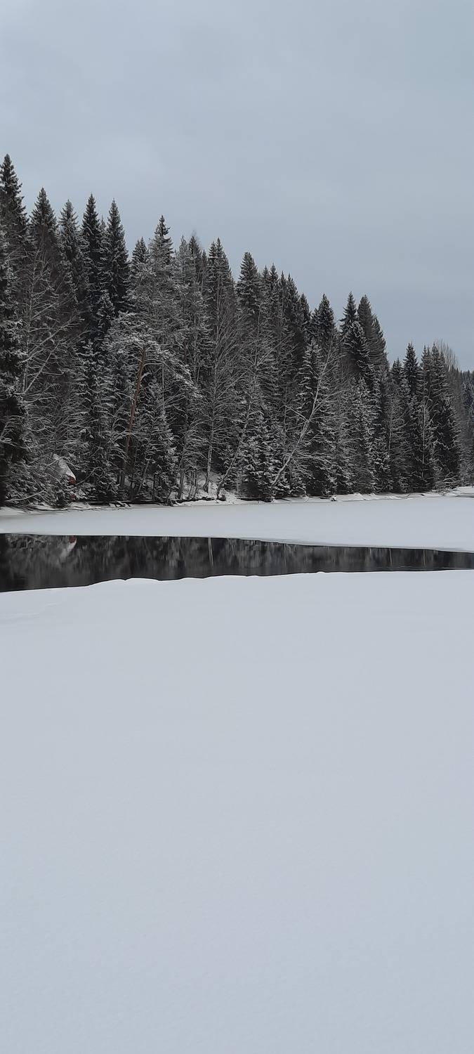 Photo #11714698