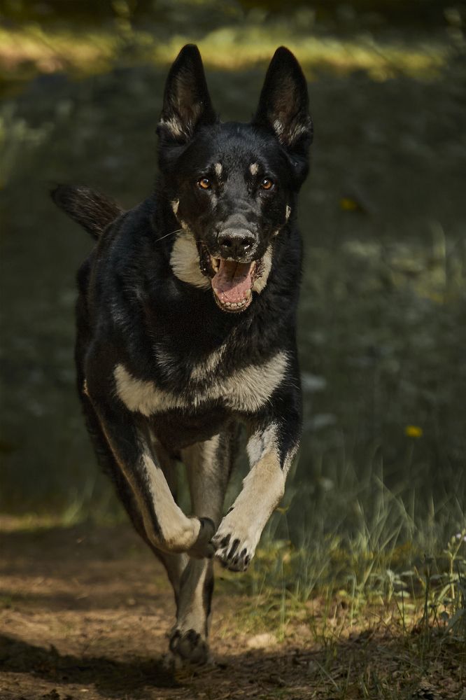 Photograph by Татьяна Полянская