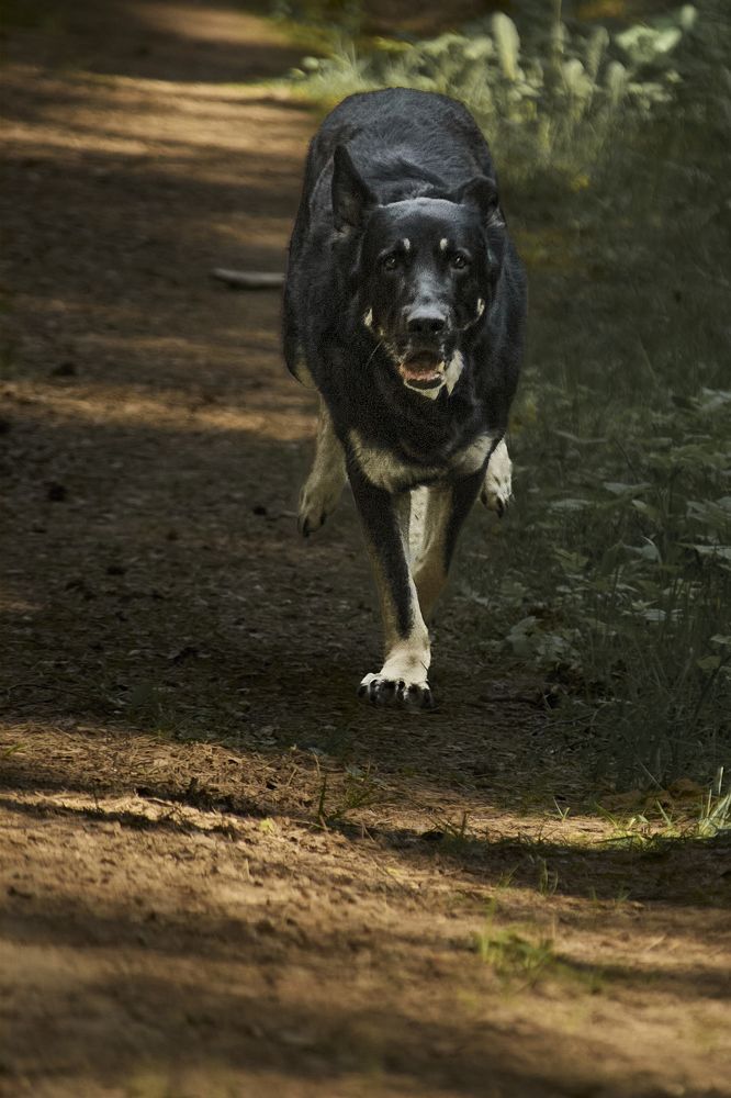 Photograph by Татьяна Полянская