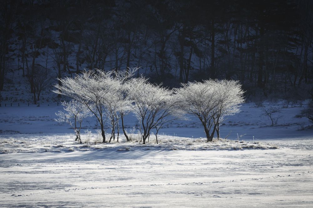 Photograph by K_ Tsunoda