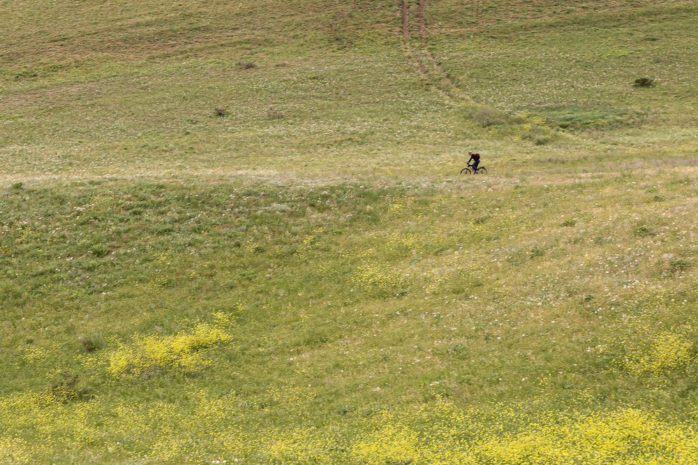 Photograph by Анатолий Мигов