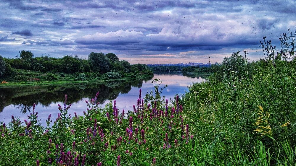 Будет дождь