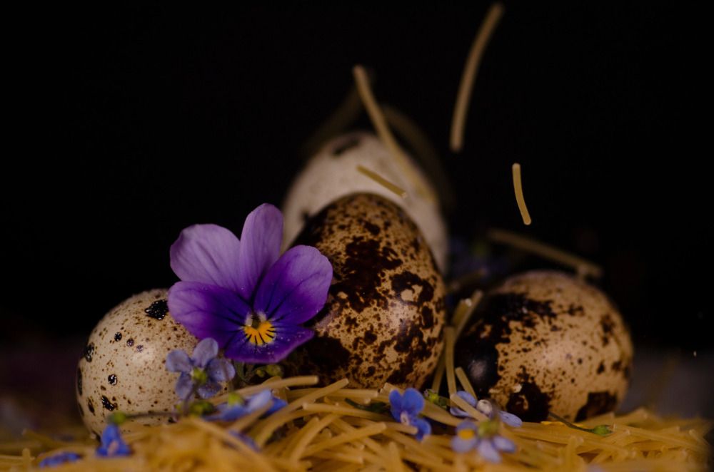 Photograph by Эльвира Быкова