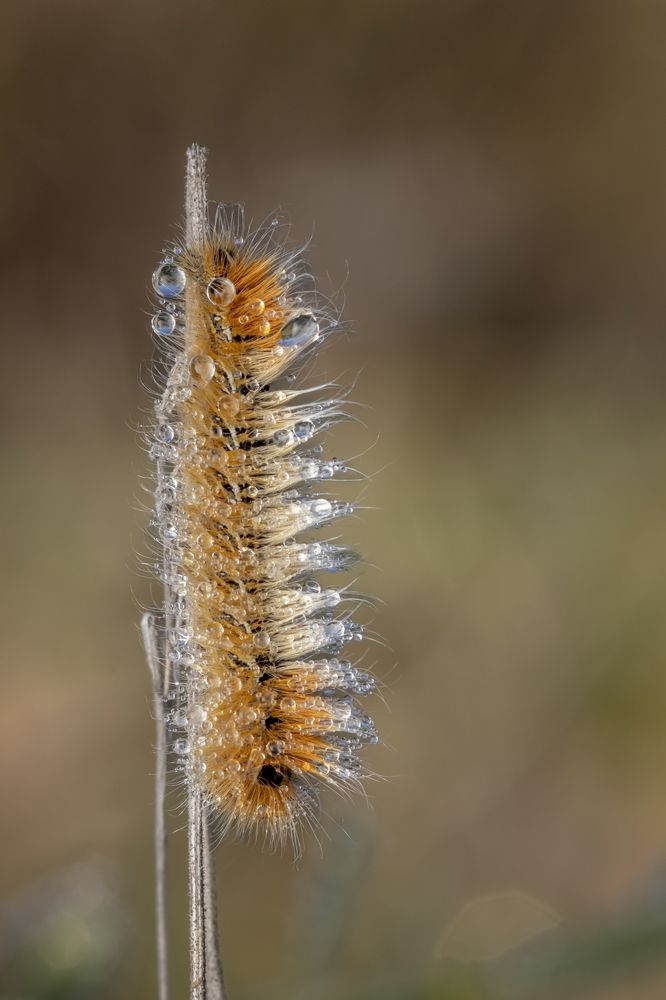 Фотография автора Nikolay Tatarchuk