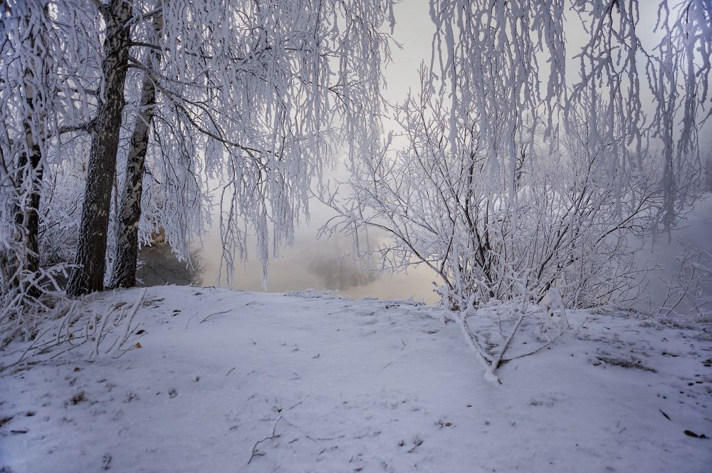 Photograph by Наталья Дроздова