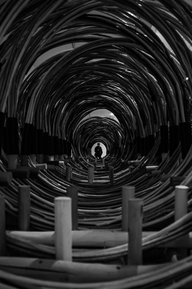 Photograph by Maxim Safonov