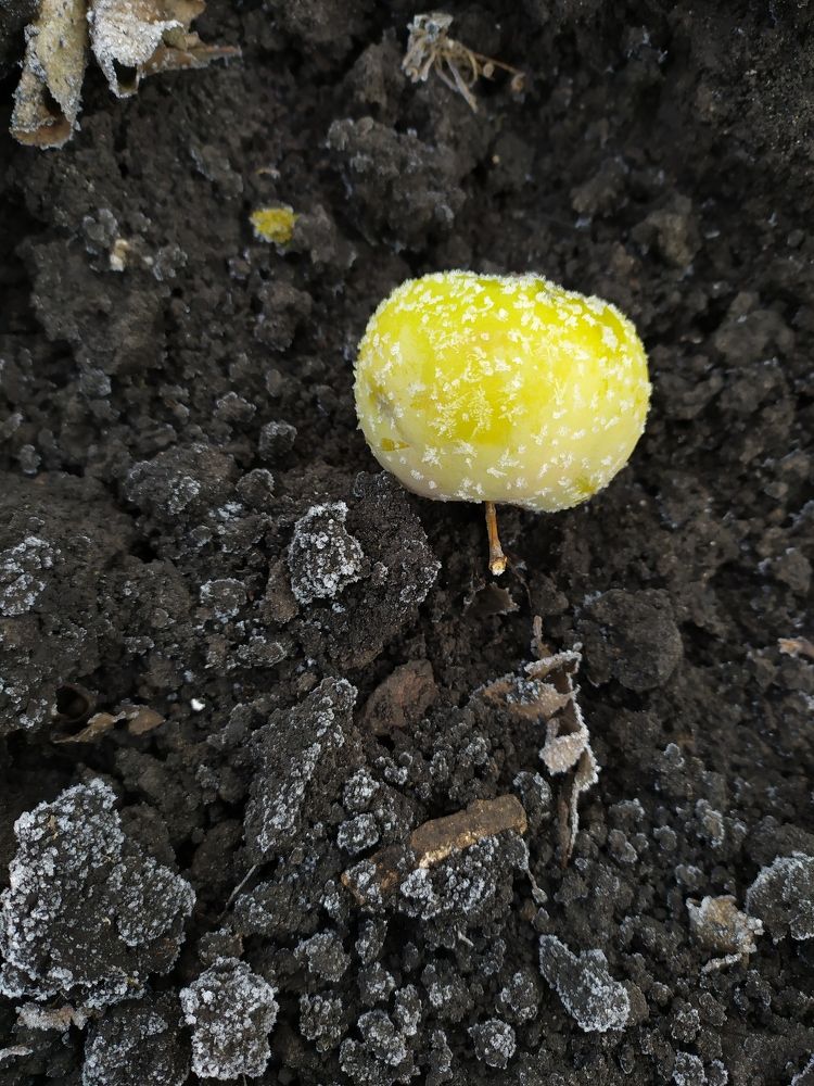 Фотография автора Наталья Агапова