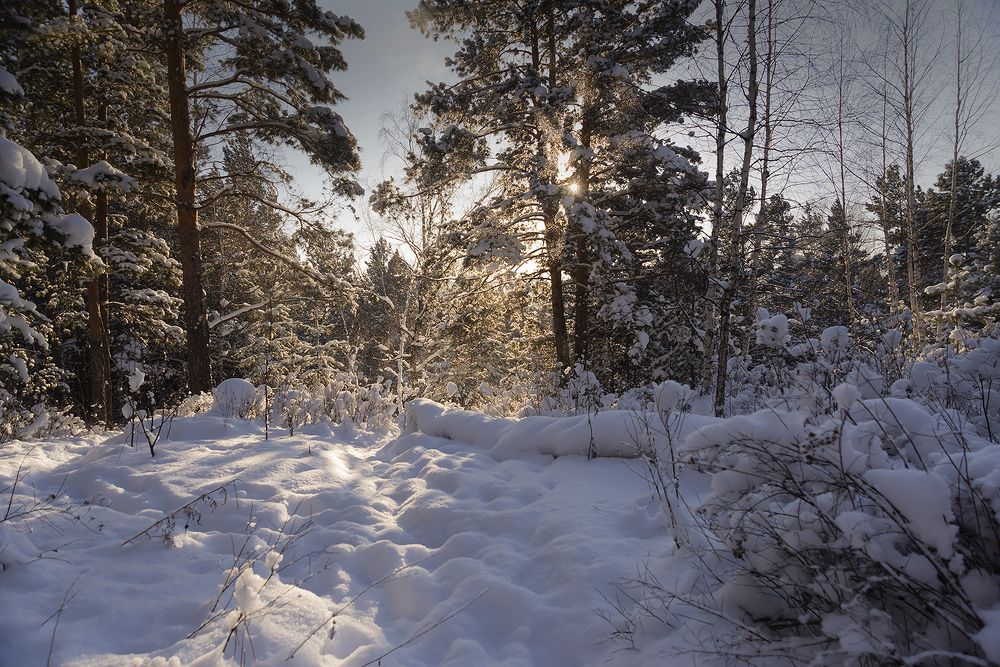 Photograph by Наталья Дроздова