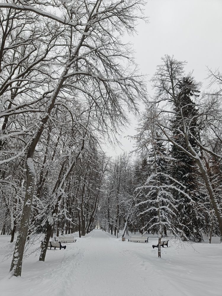 Photograph by Денис Копкин