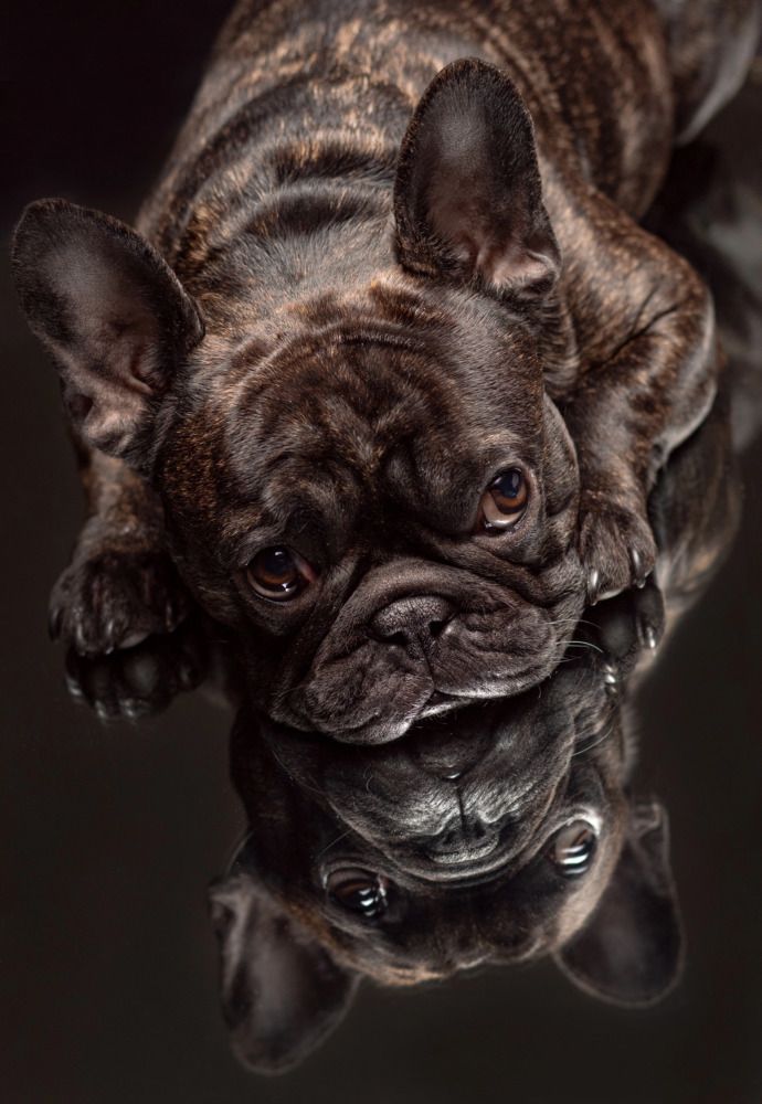 Photograph by Анна Васильева