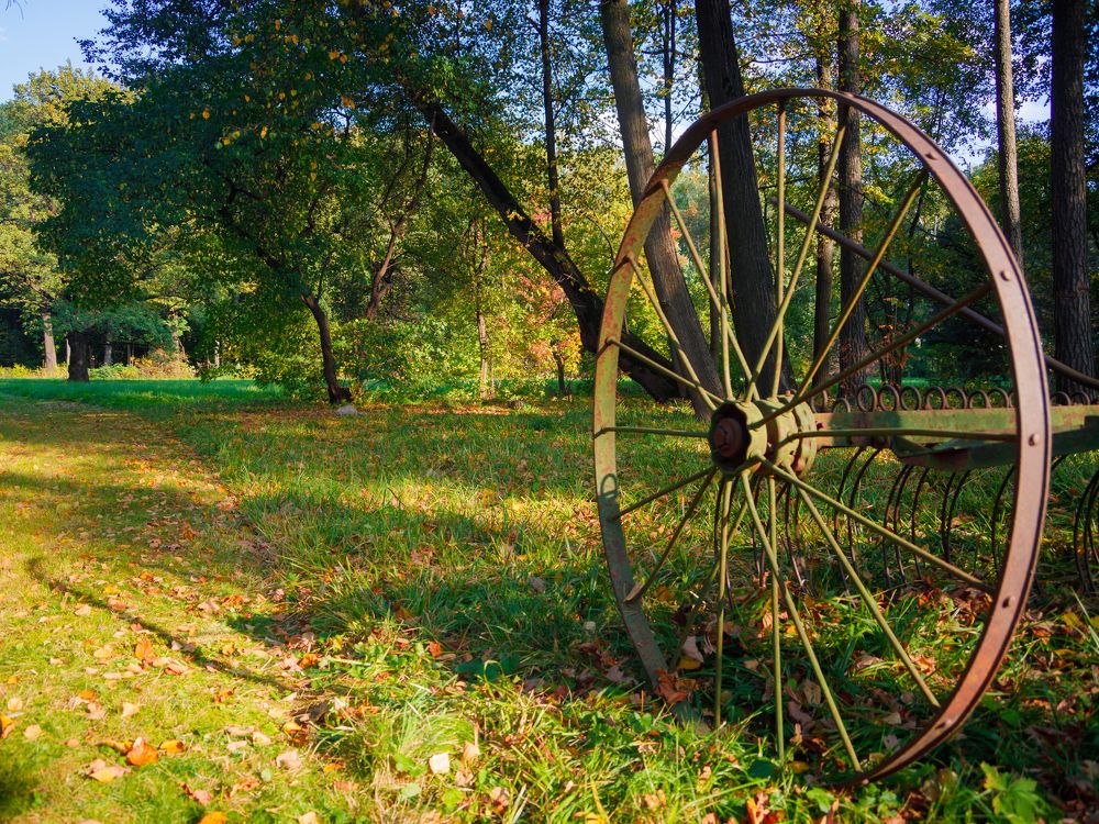 Photograph by Алексей Савенков