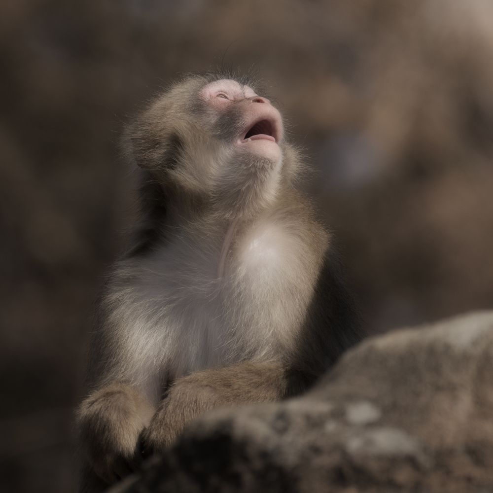 Photograph by K_ Tsunoda