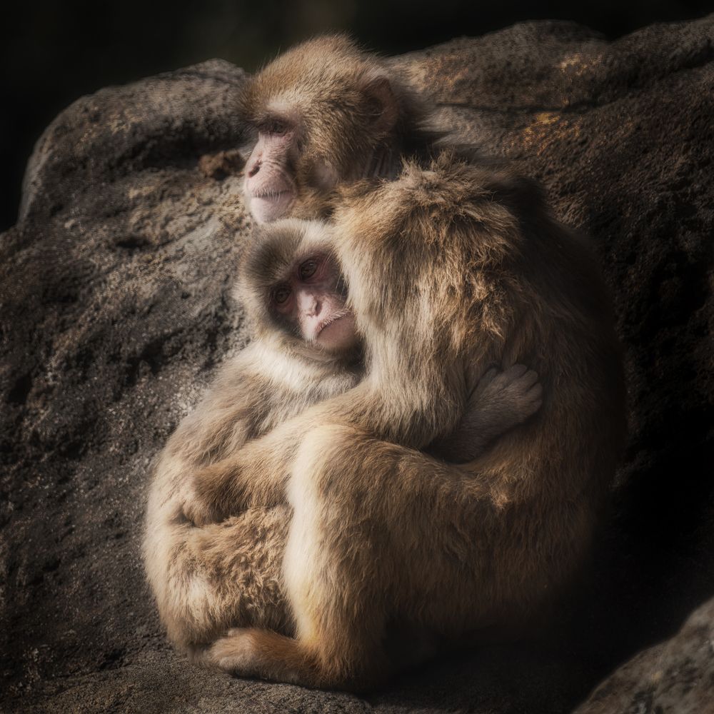 Photograph by K_ Tsunoda