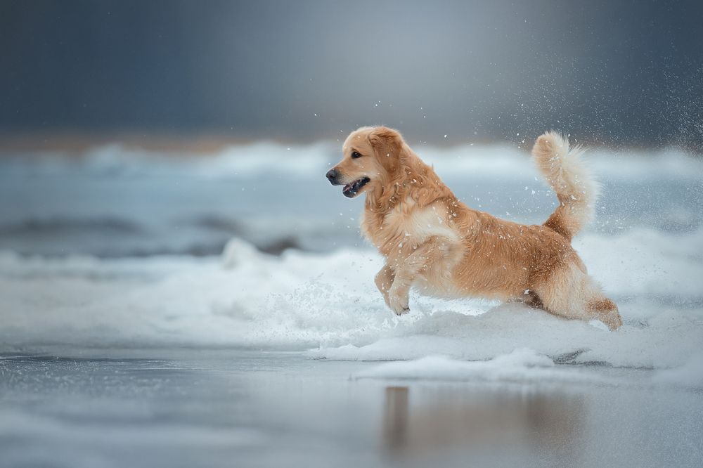 Photograph by Светлана Писарева