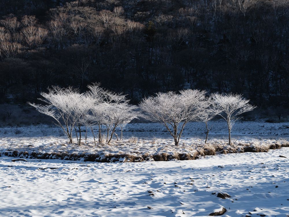 Photograph by K_ Tsunoda