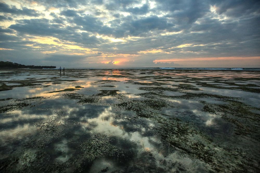 Отлив на рассвете