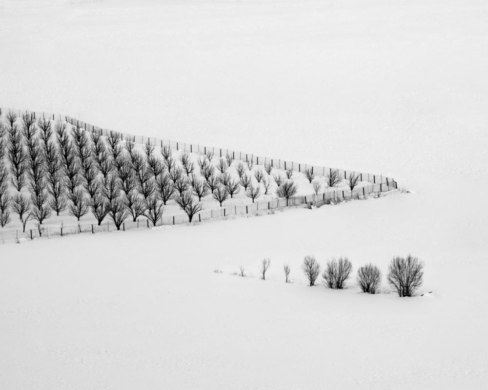 Photograph by mohammad Alipour