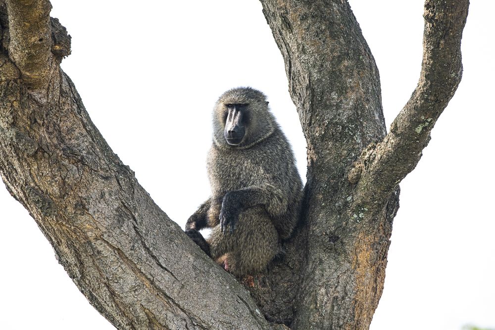 Photograph by Алексей Шаскольский