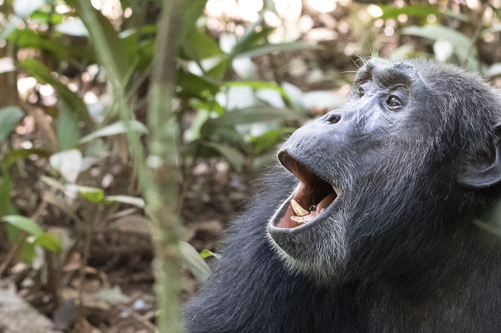 Photograph by Алексей Шаскольский