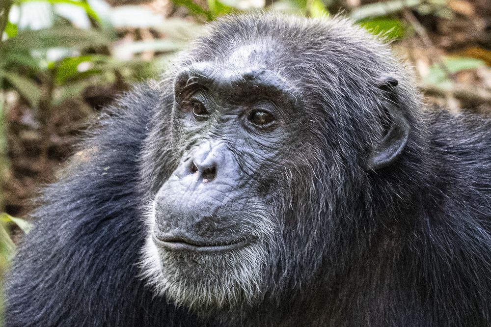 Photograph by Алексей Шаскольский