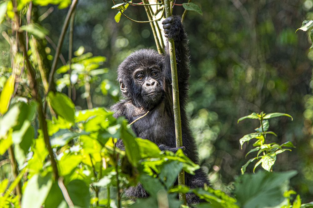 Photograph by Алексей Шаскольский