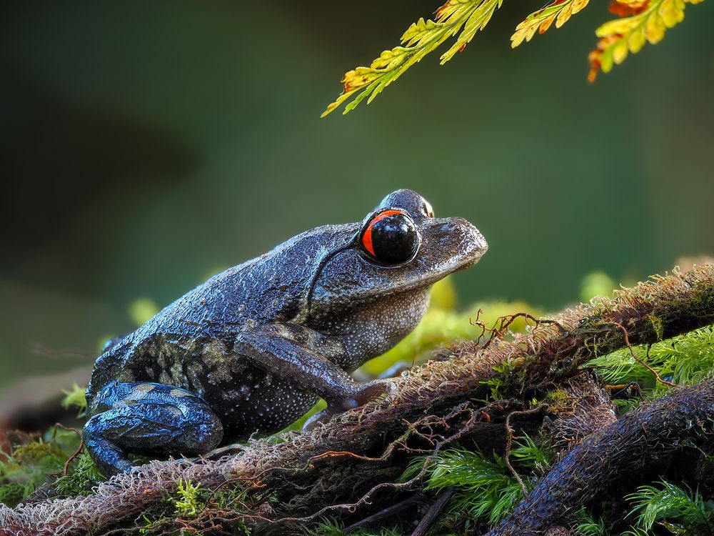 Photograph by Phuong Nguyen