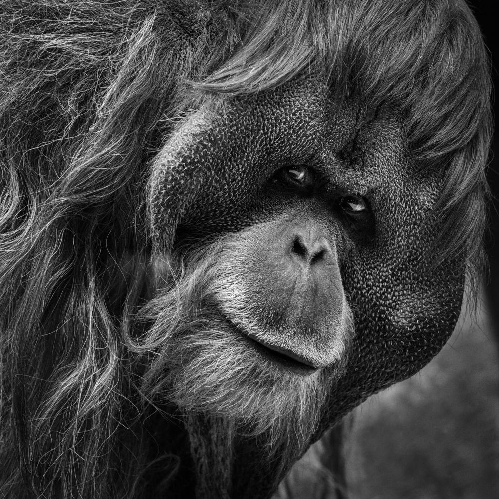 Photograph by Владимир Остапенко